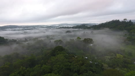 Flying-towards-a-giant-tree-in-primary-tropical-rainforest,-foggy-and-mystic.